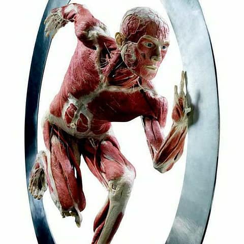 Body World