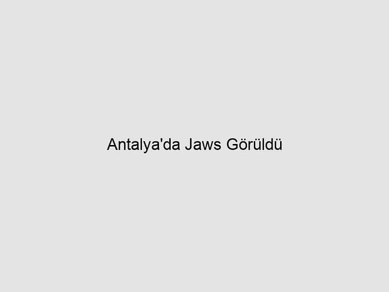 Read more about the article Antalya’da Jaws Görüldü